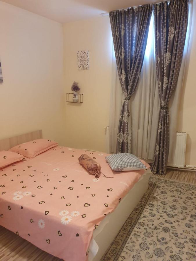 Relax Haus Hotel Хунедоара Екстериор снимка
